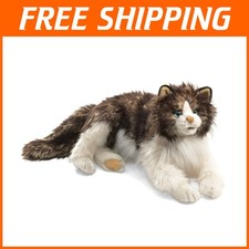 Ragdoll Gatto Mani Pupazzo