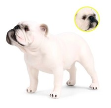 Bulldog Bianco Cane Animale