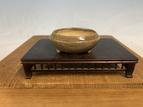 Vaso per bonsai - , fatto