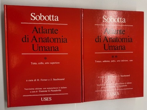 Atlante anatomia umana - atlante,