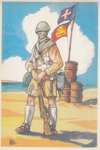Cartolina marina militare - cartolina,