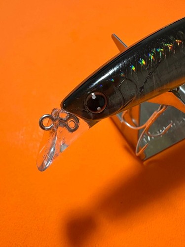 Daiwa shore line shiner - daiwa, z