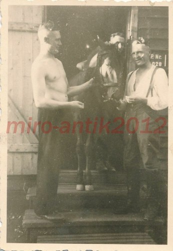 Foto ww2 fronte occidentale - foto,, ww2,