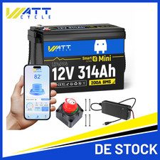 Batteria LiFePO4 12V 300Ah