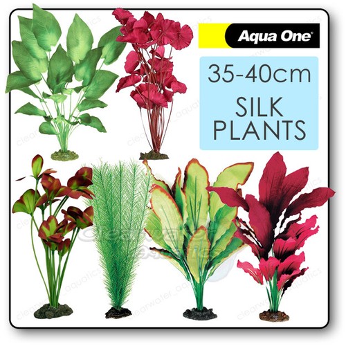 Piante seta acquario - piante,