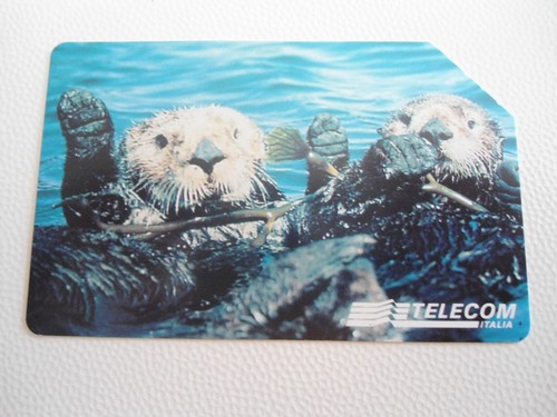 Schede telefoniche animali - -,