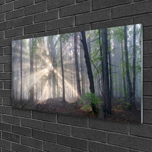 Quadro stampa vetro wall - quadro,
