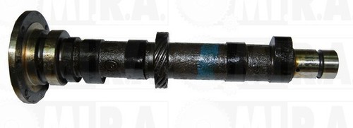 Albero motore cammes - a, fiat