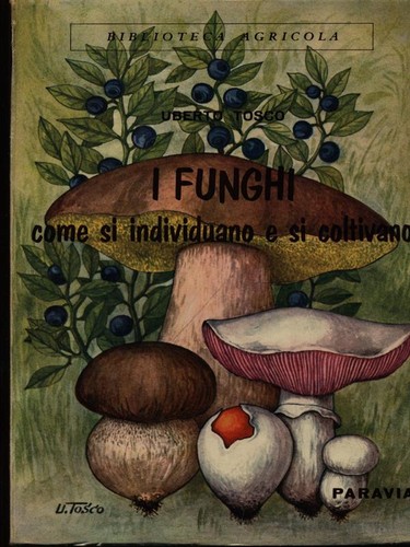 Funghi prima edizione - funghi,