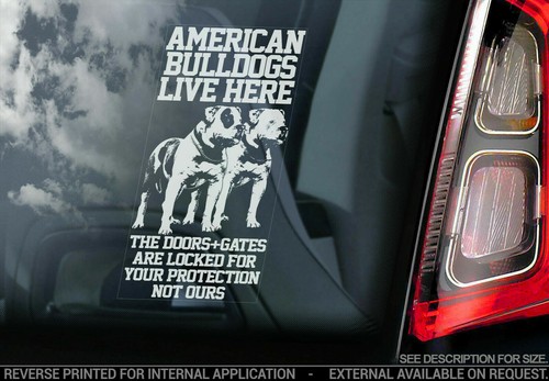 Adesivo auto bulldog - bulldog, americano
