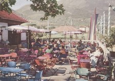 * PEDAVENA - Birreria 1955