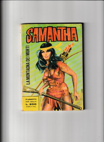 Fumetto western erotico - fumetto,