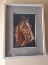 Quadro a uncinetto muso