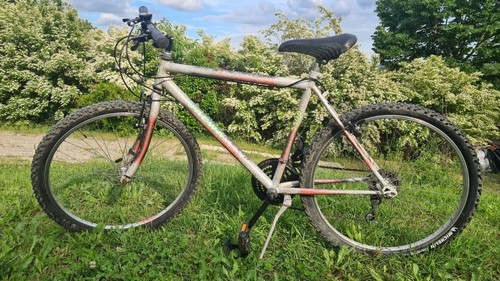 Mtb anni revisionata - 90, revisionata.