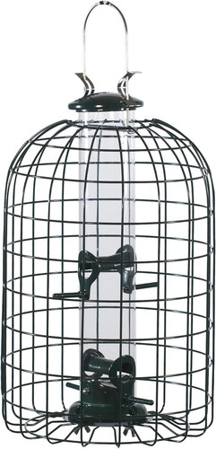 Audubon mangiatoia per - audubon, uccelli