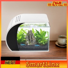 Piccolo Acquario in Vetro