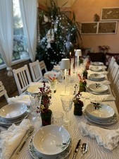 Servizio Piatti Natalizi 