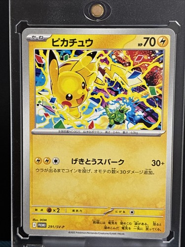 Pikachu 291 120 - -, 120/sv-p