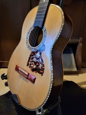 bellissima chitarra TOP