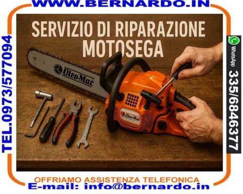 Servizio professionale - servizio,
