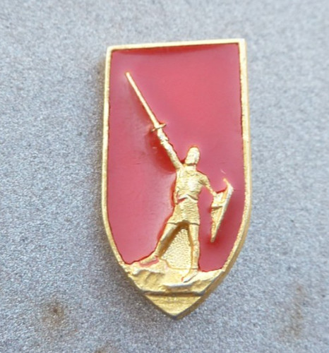 Distintivo smaltato divisione - distintivo,