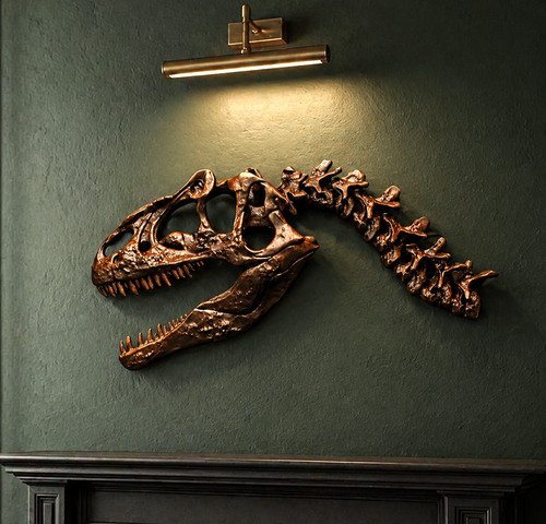 Dinosaur fossil skull - skull, wall