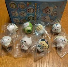 Set Completo Chikawa Acquario