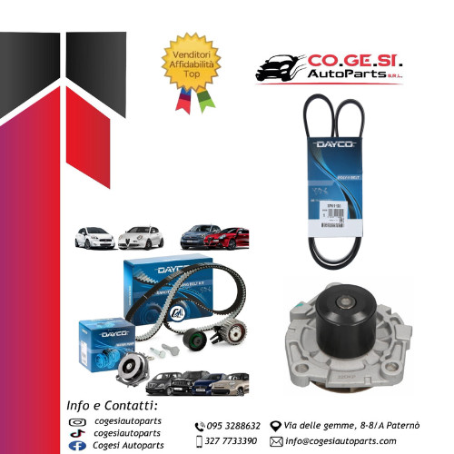 Kit distribuzione pompa - kit,