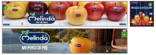 Grafica melinda adesiva - grafica,