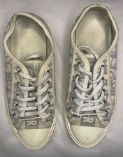 Walk'n'Dior Sneaker
