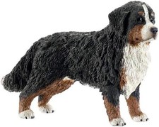 BOVARO BERNESE FEMMINA