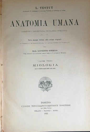Anatomia umana volume - volume, 3