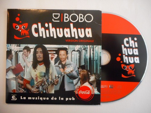 Bobo chihuahua musique - bobo, (musique