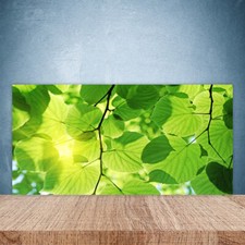 Splashback Paraschizzi