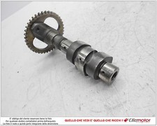 ALBERO A CAMME ANTERIORE