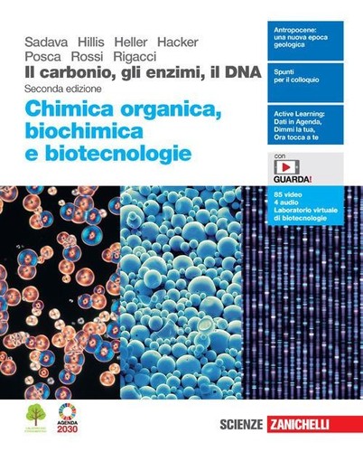 Carbonio gli enzimi il - carbonio,,