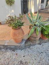 Coppia di antichi orci del 1792