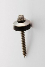 Vite T.E. INOX con rondella