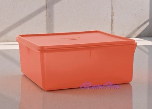 Tupperware square keeper - keeper, l