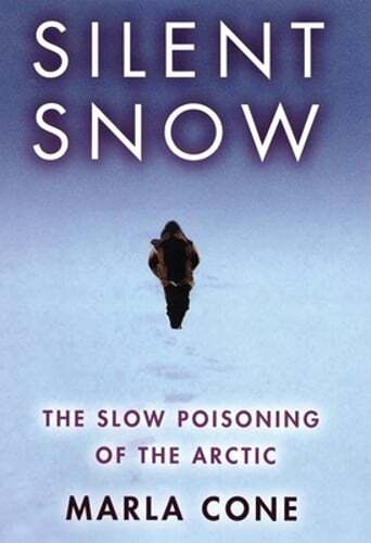 Silent snow the - silent,