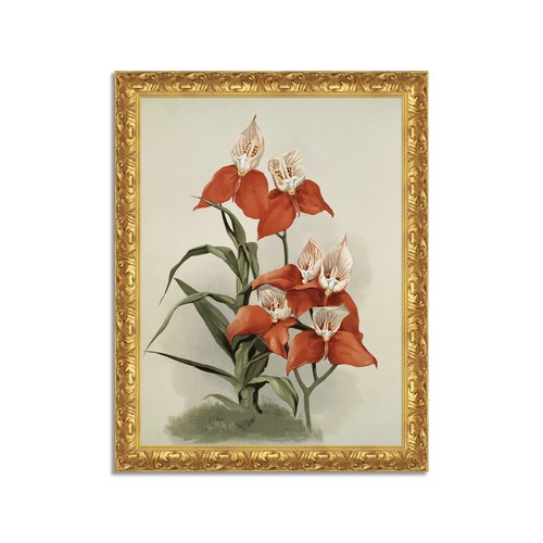 Quadro stampa tela effetto - quadro,