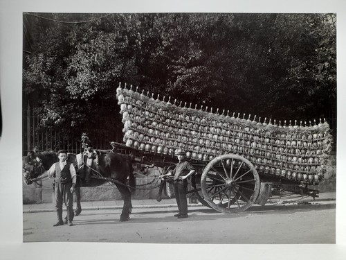 Foto riproduzione 1915 - riproduzione,