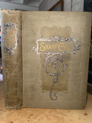Antique 1892 sharp eyes - antique, “sharp