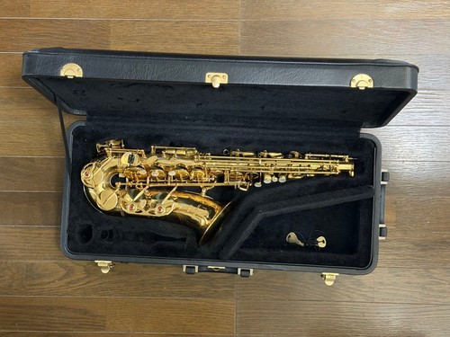 Sassofono contralto yanagisawa - sassofono,