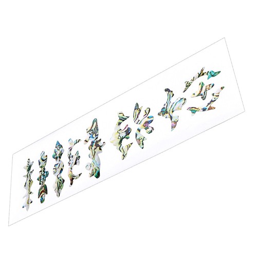 Accessori chitarra acustica - ,