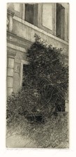 Livio ceschin l abbandono - ceschin,