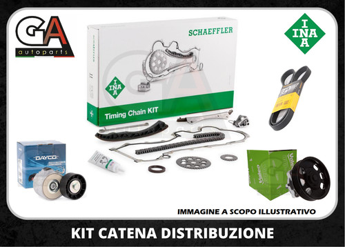Kit catena distribuzione punto - kit,