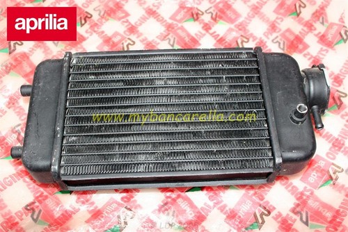 Ap8201402 radiatore acqua - radiatore,