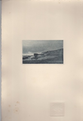 Bombardiere caproni - bombardiere, in