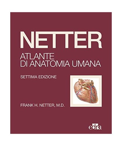 Netter atlante anatomia - netter., di